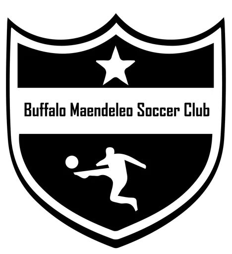 Buffalo Maendeleo Soccer Club Inc logo
