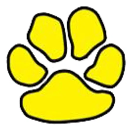 JR Cats Football Program Inc logo