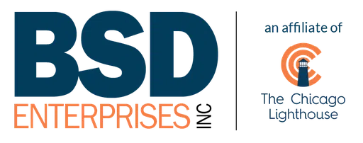 Blindsight Delaware Enterprises Inc logo