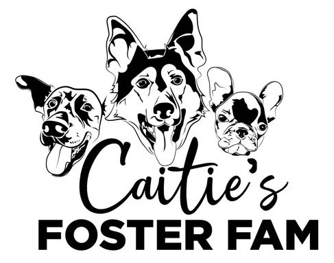 Caitie S Foster FAM logo