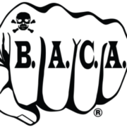 B a C a International Inc logo