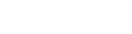 National Center on Shaken Baby Syndrome logo