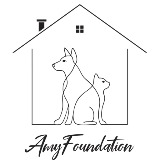 Amy Feiman Behar Foundation for Cancer Prevention Inc logo