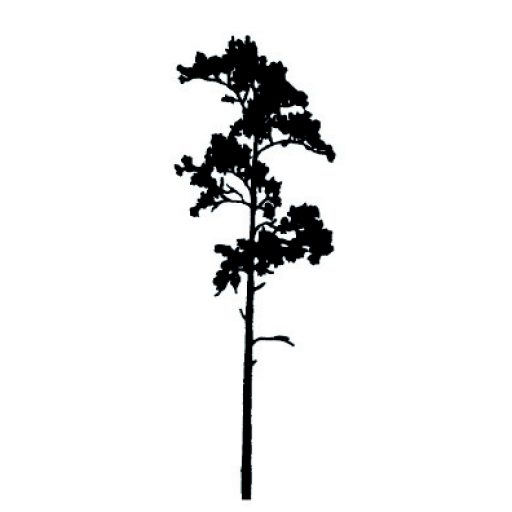 Longleaf Press logo