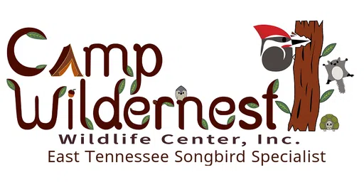 Camp Wildernest Wildlife Center Inc logo