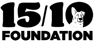 15-10 Foundation logo