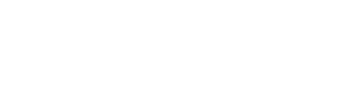 Raise Academy logo