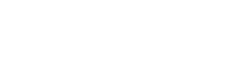 Aurelia Institute Inc logo