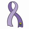 Conquering Cancer Foundation logo
