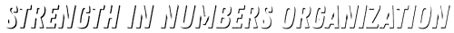 Strength in Numbers Organization logo