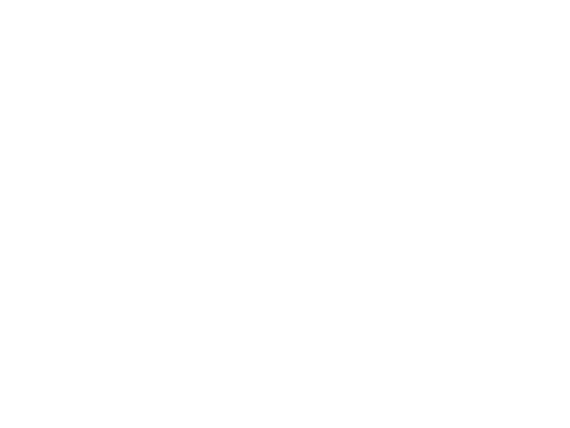 Lowell Youth Leadership Program Inc logo
