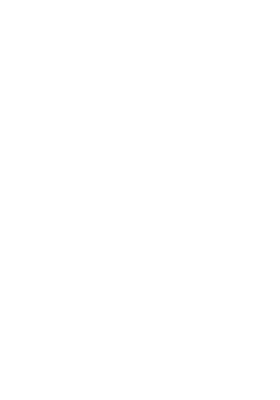 Western Futures Fund Inc logo