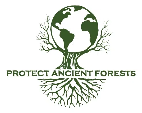 Protect Ancient Forests logo
