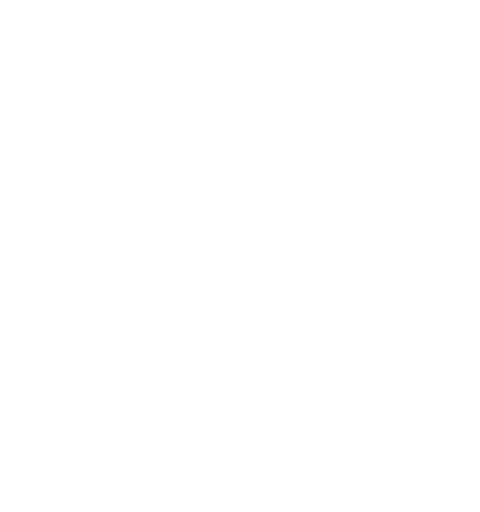 S a F E House Inc Stop Abuse in the Family Environment logo