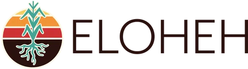 Eloheh Eagles Wings logo