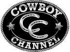 Silver State Stampede Association logo