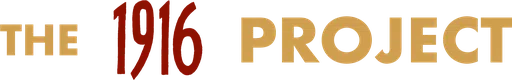 Vindex Media logo