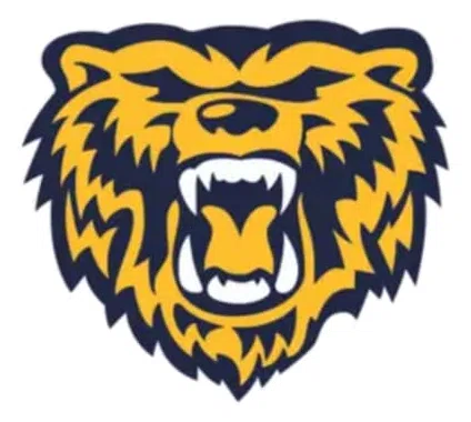American Youth Football Inc logo