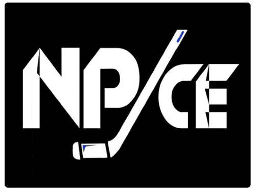 NP ICE Inc logo