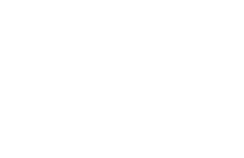 The Vision Culture Foundation logo