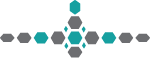Dataplaneorg NFP logo