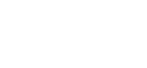 Diamond Silk Entrepreneur University logo