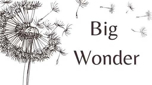 Big Wonder Child Care logo