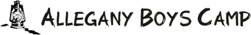 Allegany Boys Camp Inc logo