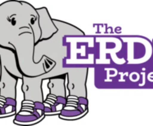 Erdie Project logo