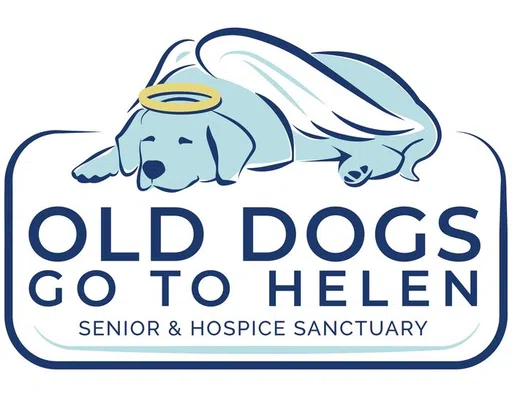 Old Dogs Go to Helen logo