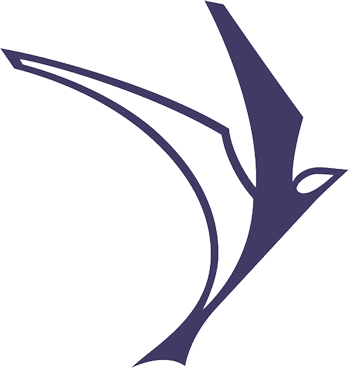 RYSR Inc logo