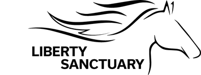 Liberty Sanctuary logo
