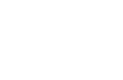 Sierra Nevada Realtors logo