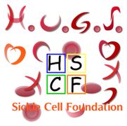 Hugs Sickle Cell Foundation logo