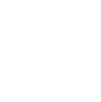 Son Foundation Inc logo