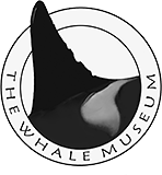 Whale Museum logo