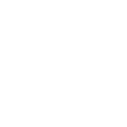 Washington State University Foundation logo