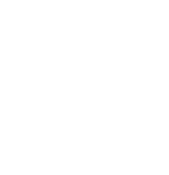 Seattle Public Library Foundation logo
