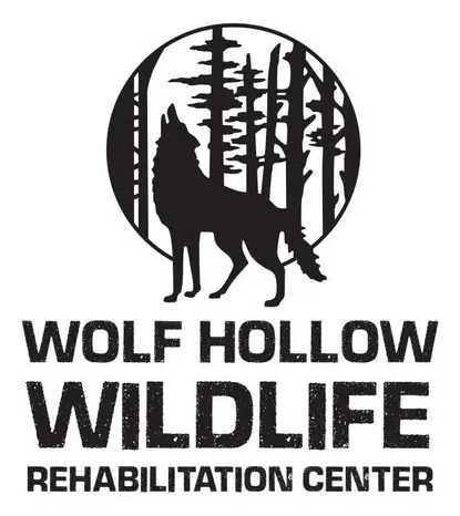 Wolf Hollow Wildlife Rehabilitation Centre logo