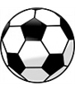 Silver Lake Youth Soccer Club logo