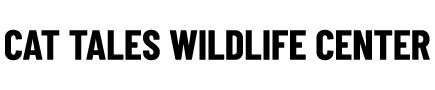 C a T T a L E S logo