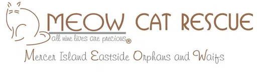 Mercer Island-Eastside Orphans and Waifs logo
