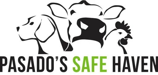 Pasados Safe Haven logo