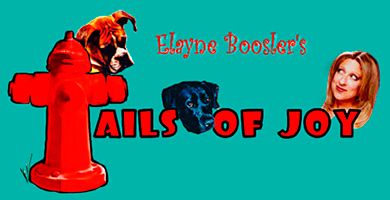 Tails of Joy logo