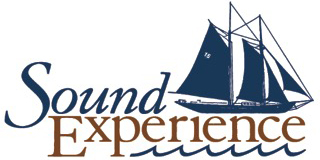 Sound Experience logo