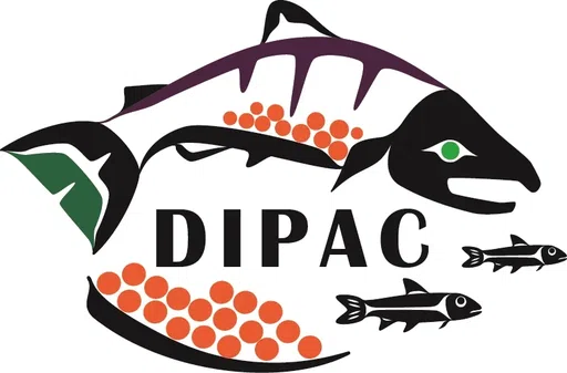 Douglas Island Pink and Chum Incorporated logo