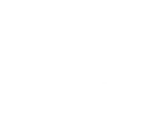 The Alaska Center logo