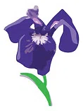 Jamhi Health & Wellness Inc logo
