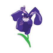 Jamhi Health & Wellness Inc logo