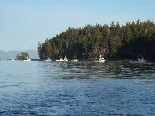 Southeast Alaska Regiona Fisheries Association logo